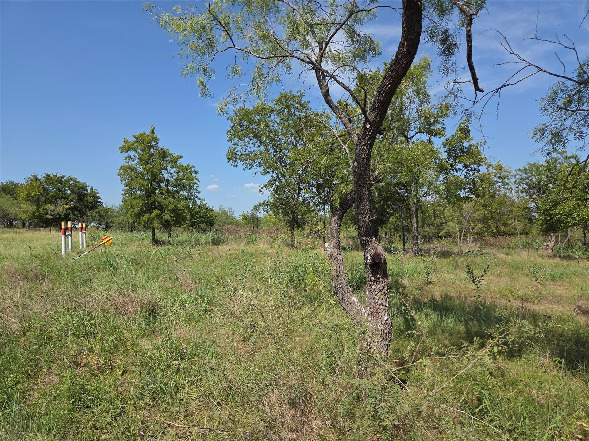 2.98 acres in Navarro County - photo 10
