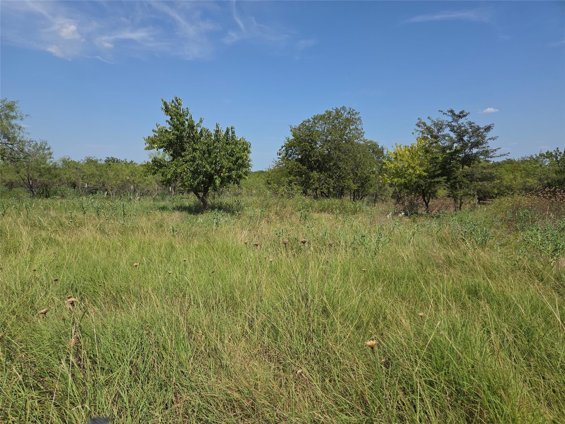 2.98 acres in Navarro County - photo 16