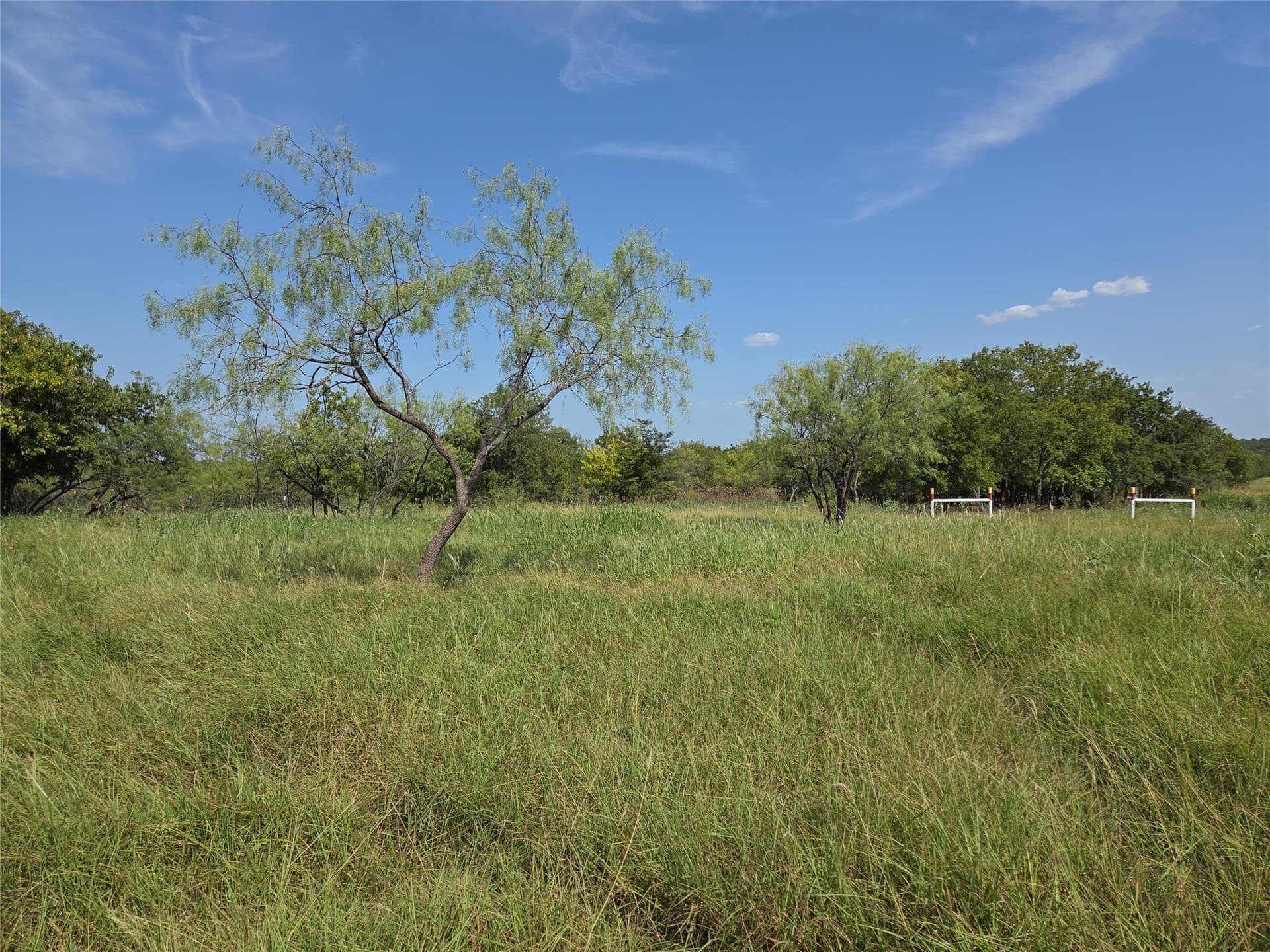 2.98 acres in Navarro County - photo 6