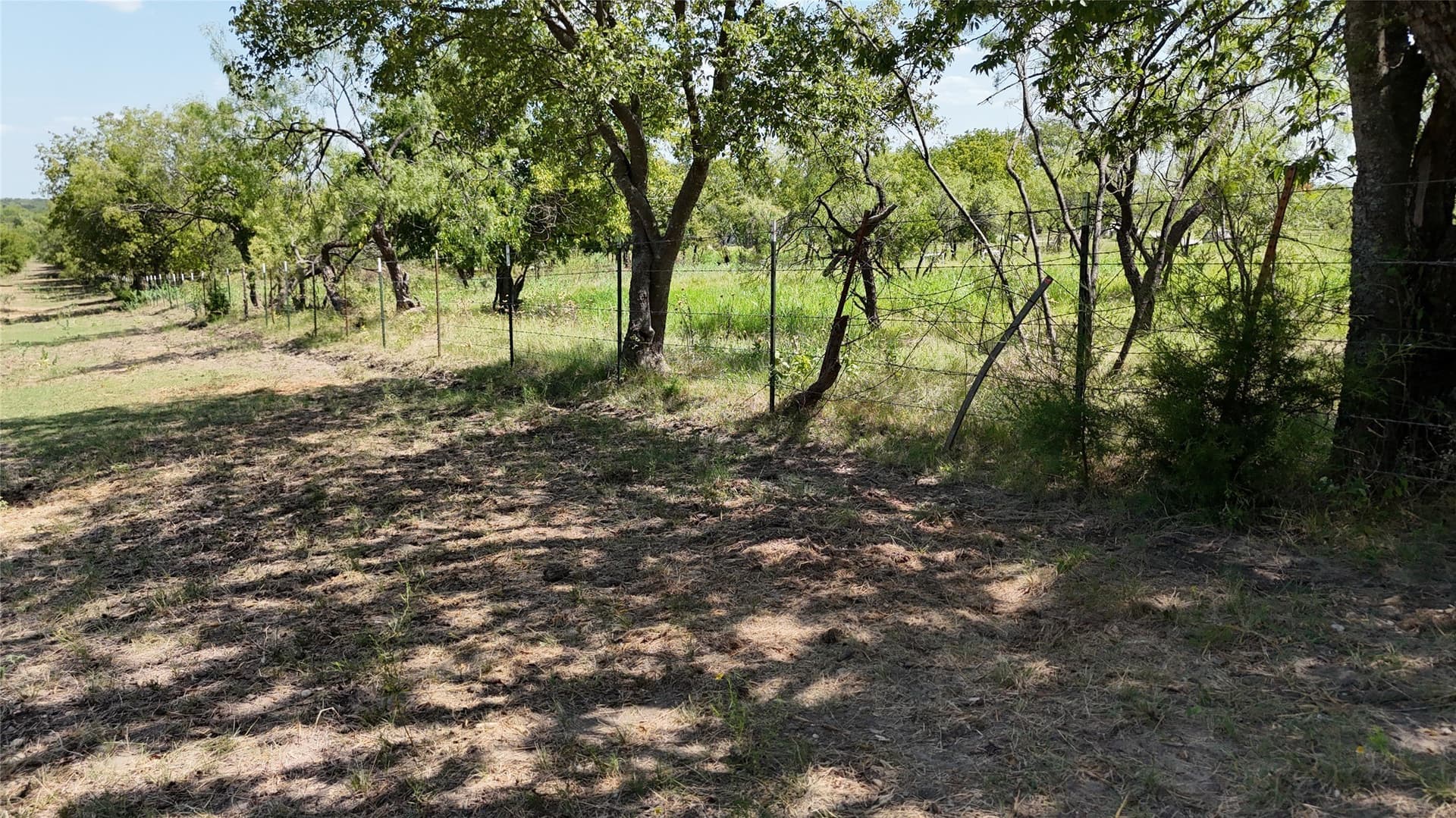 2.98 acres in Navarro County - photo 12