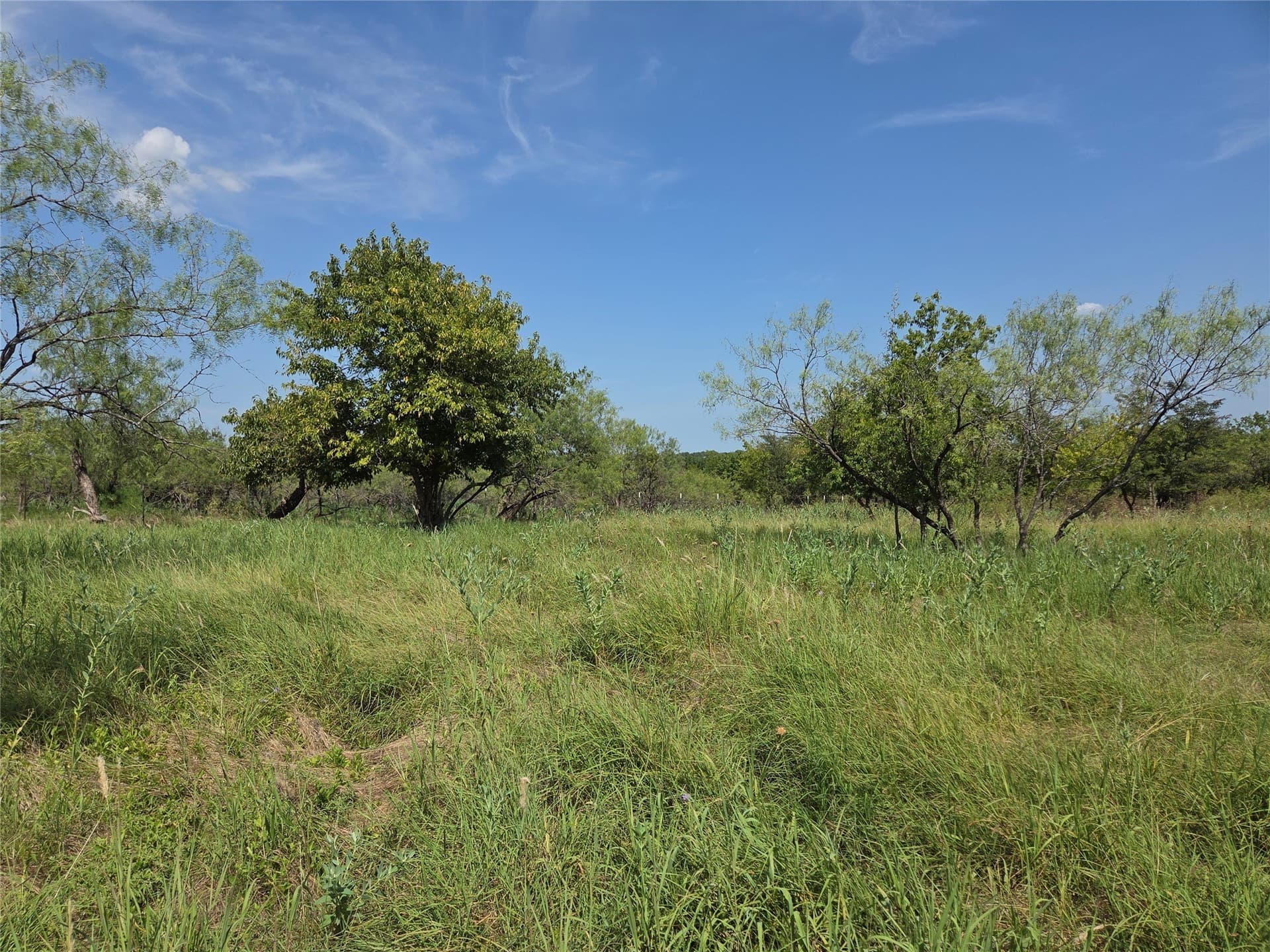 2.98 acres in Navarro County gallery image 2