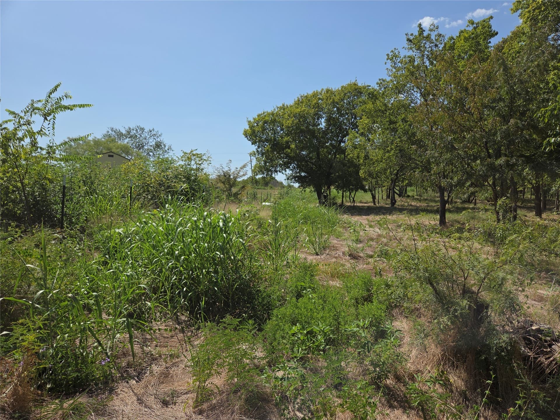 2.98 acres in Navarro County - photo 14