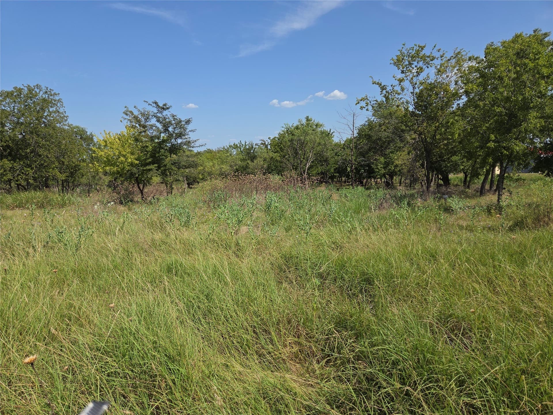 2.98 acres in Navarro County gallery image 4