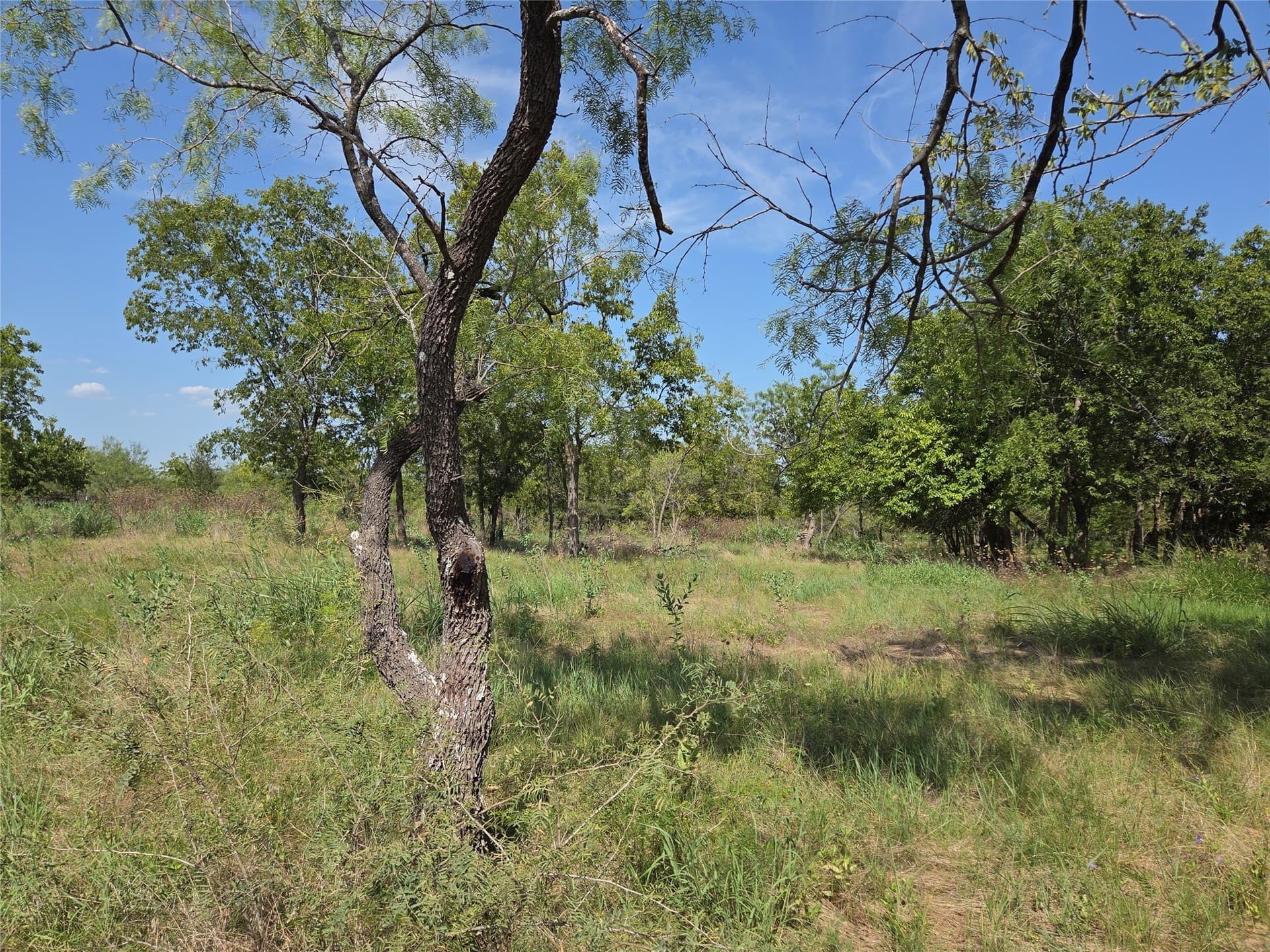 2.98 acres in Navarro County - photo 13