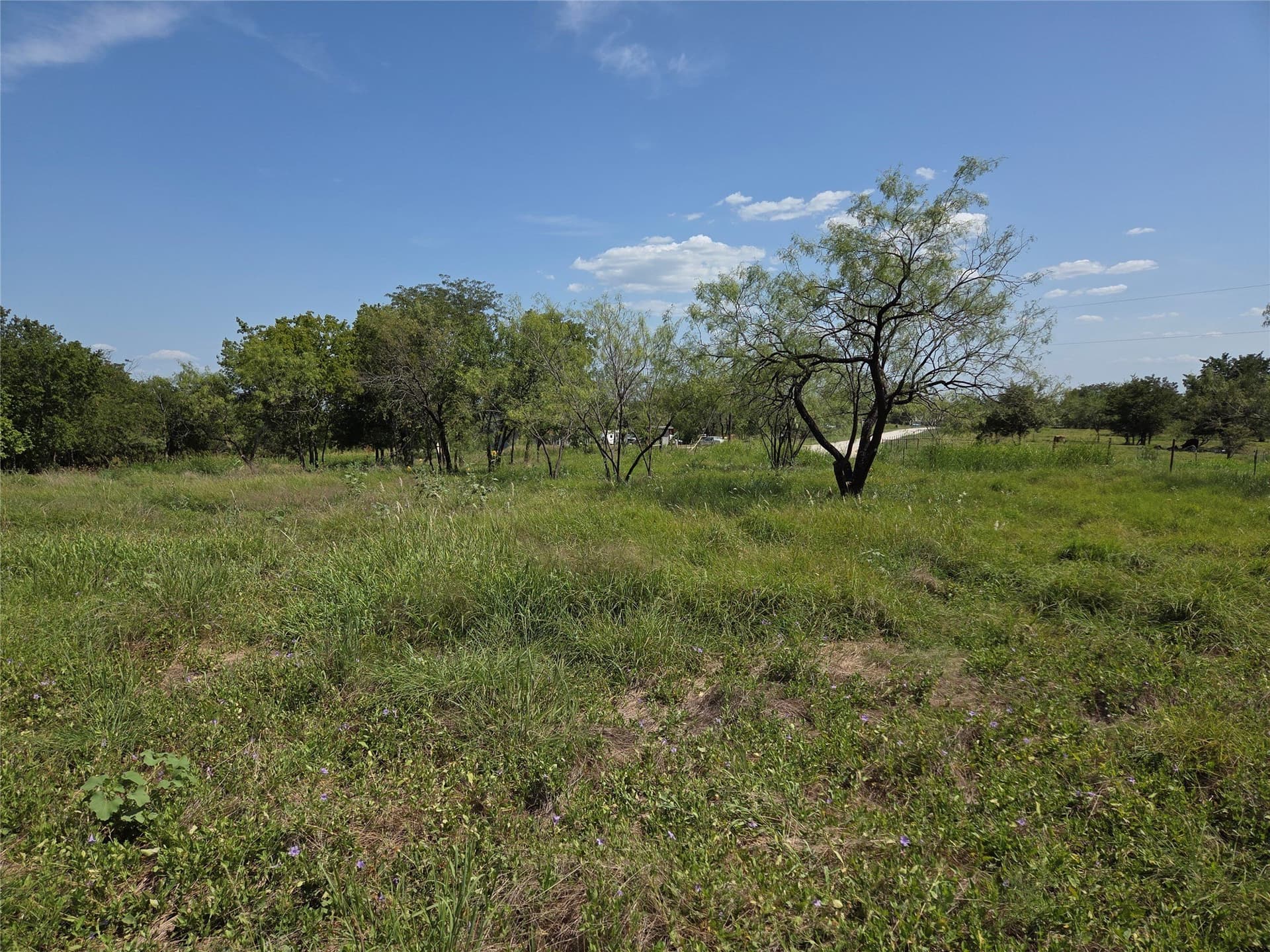 2.98 acres in Navarro County - photo 29