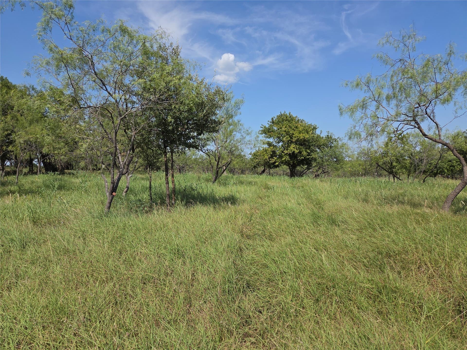 2.98 acres in Navarro County - photo 15