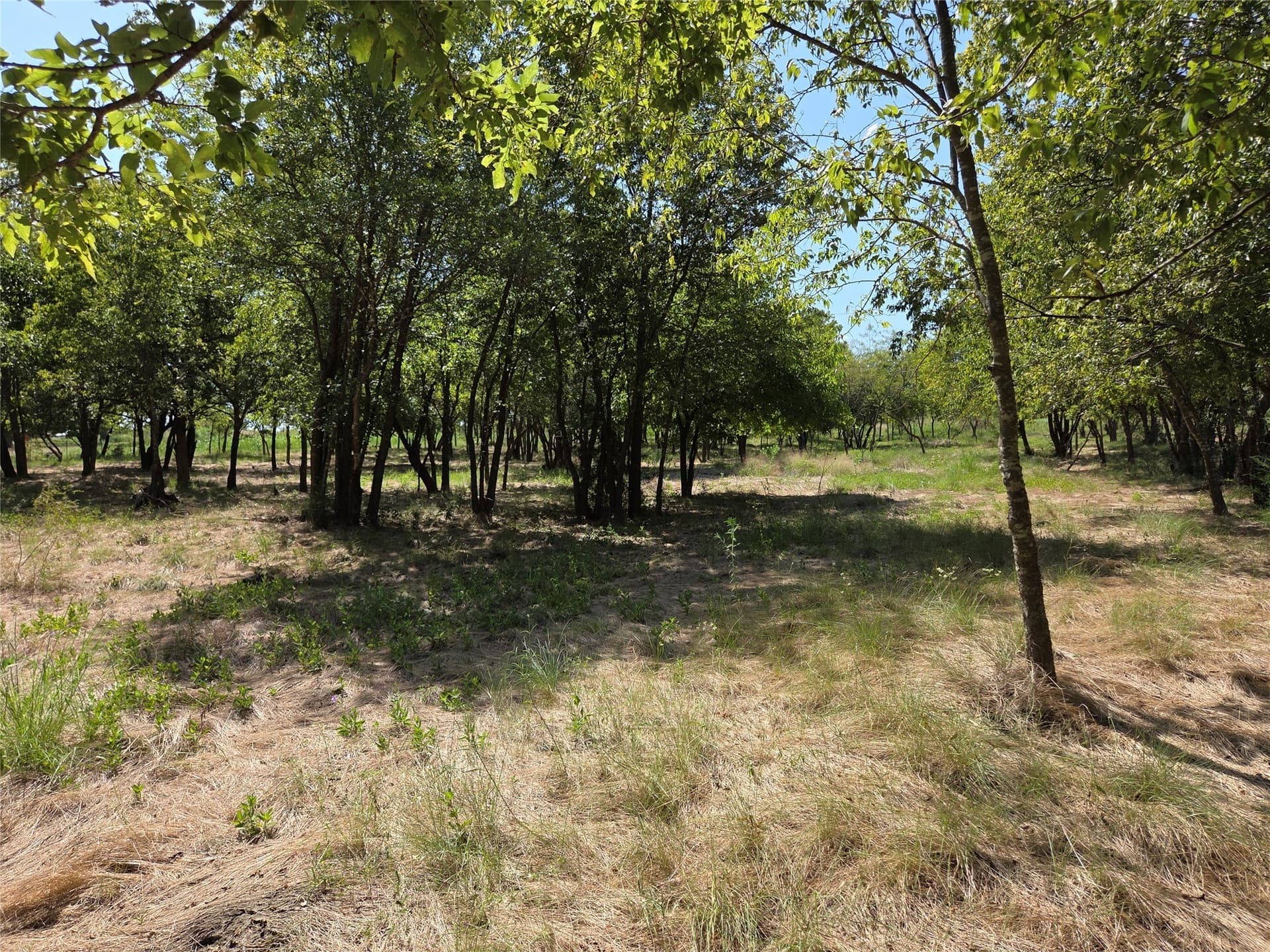 2.98 acres in Navarro County - photo 31