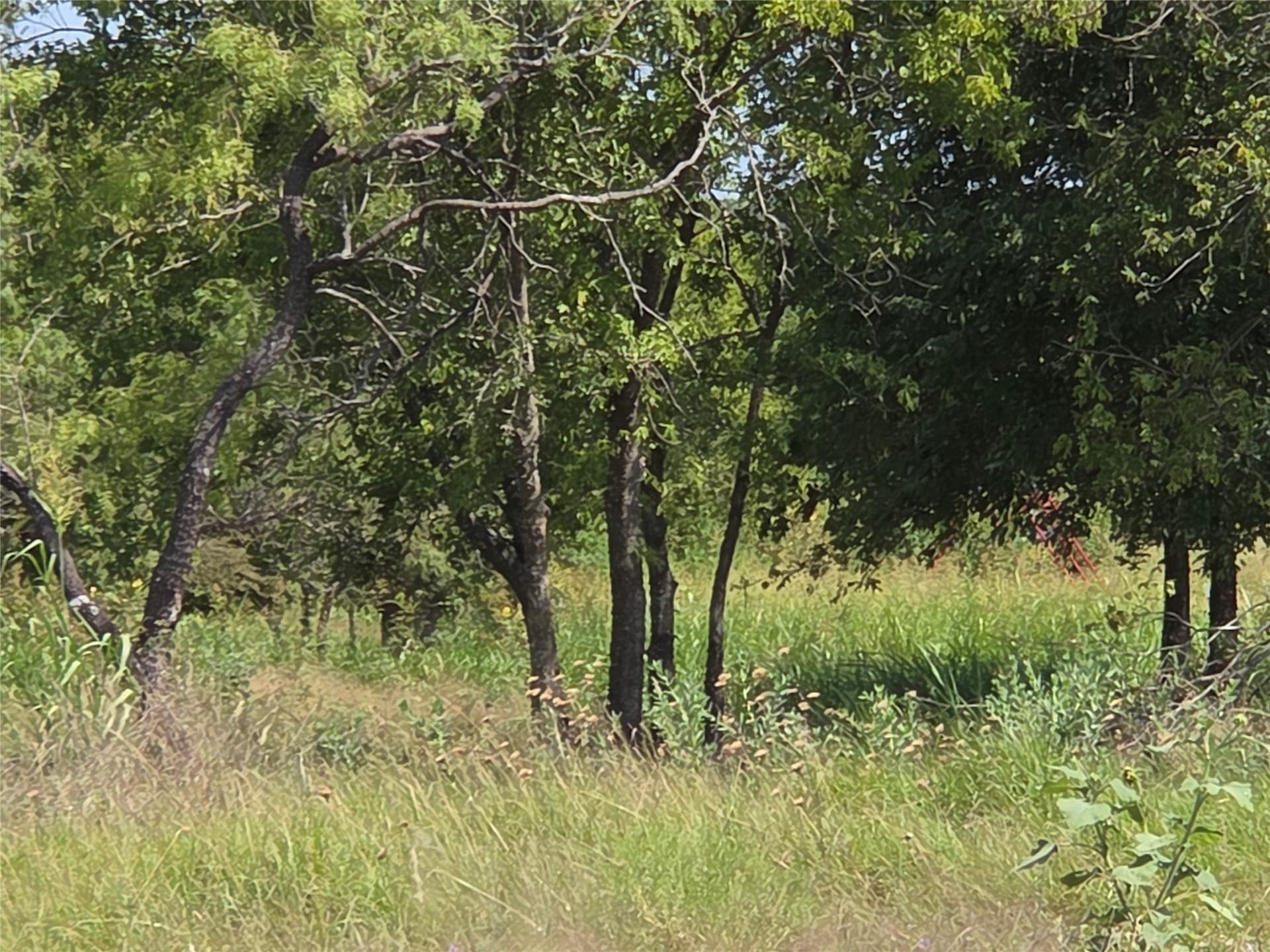 2.98 acres in Navarro County - photo 30