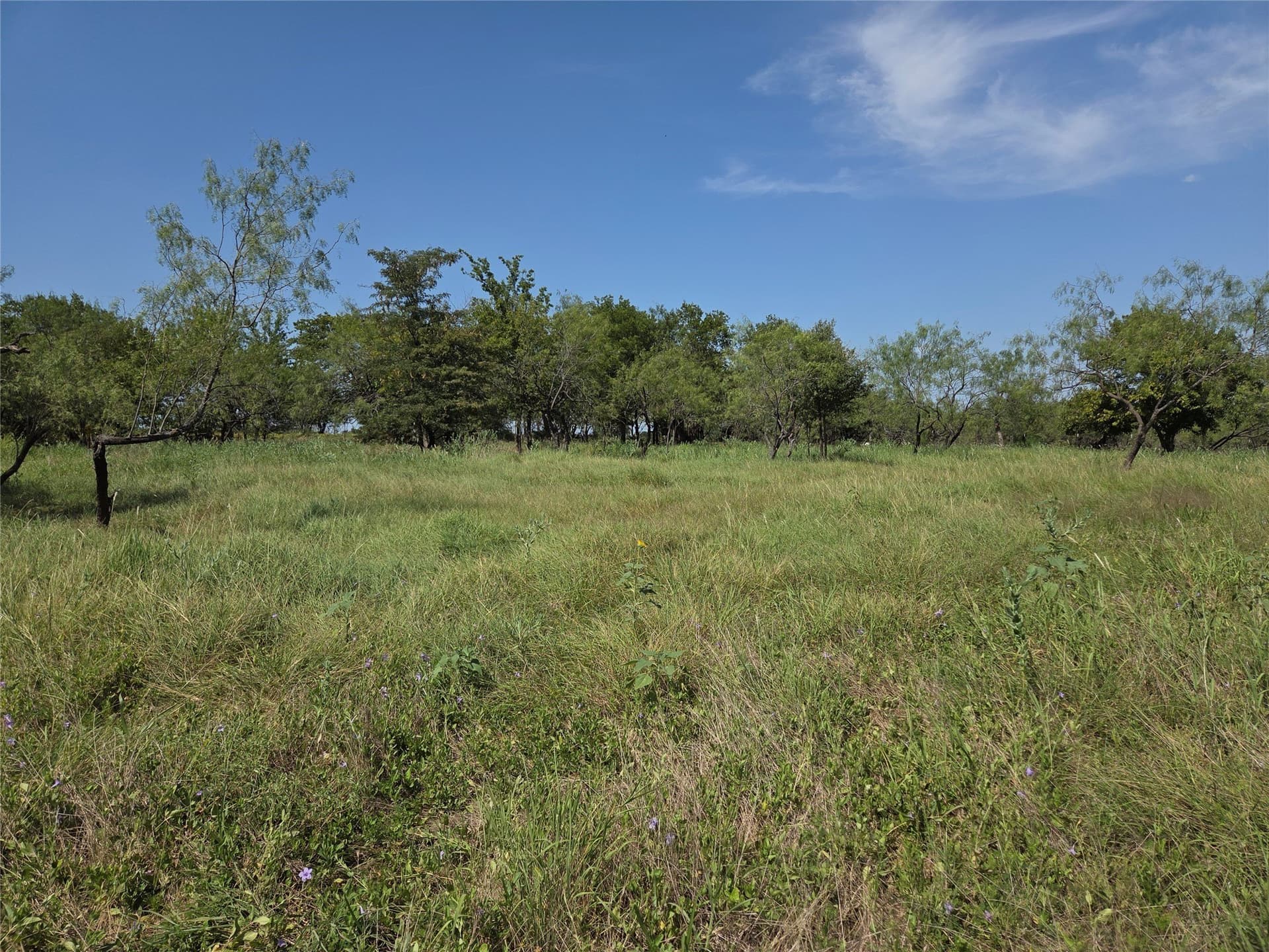 2.98 acres in Navarro County - photo 38