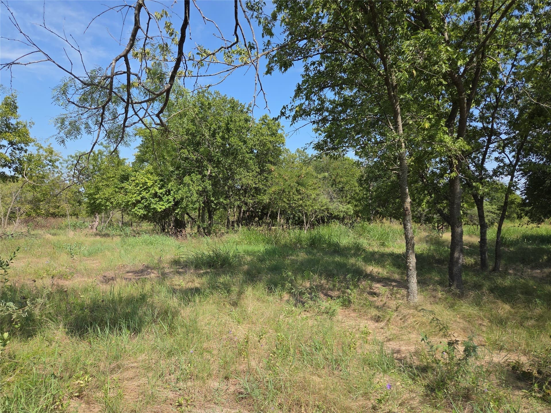 2.98 acres in Navarro County - photo 21