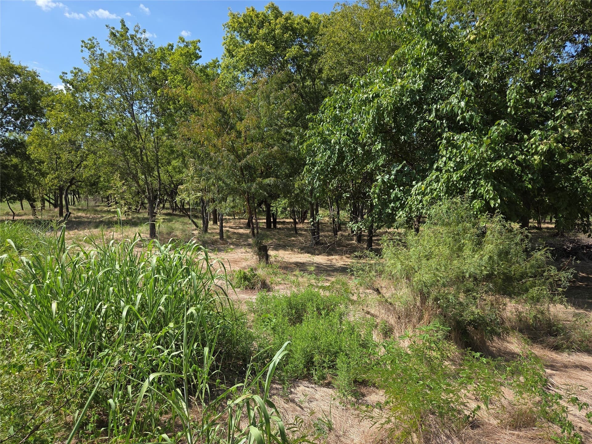 2.98 acres in Navarro County - photo 34