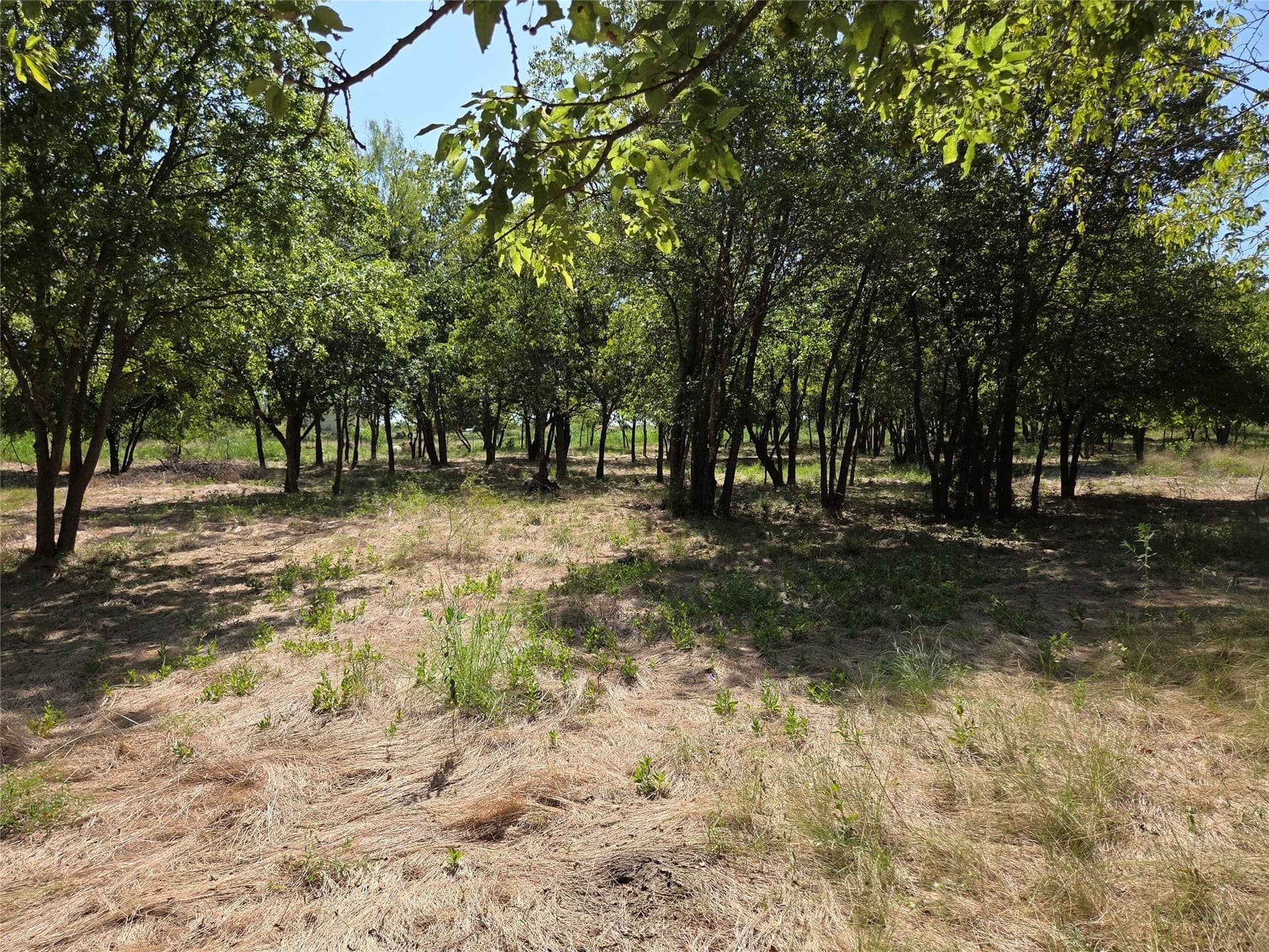2.98 acres in Navarro County - photo 19