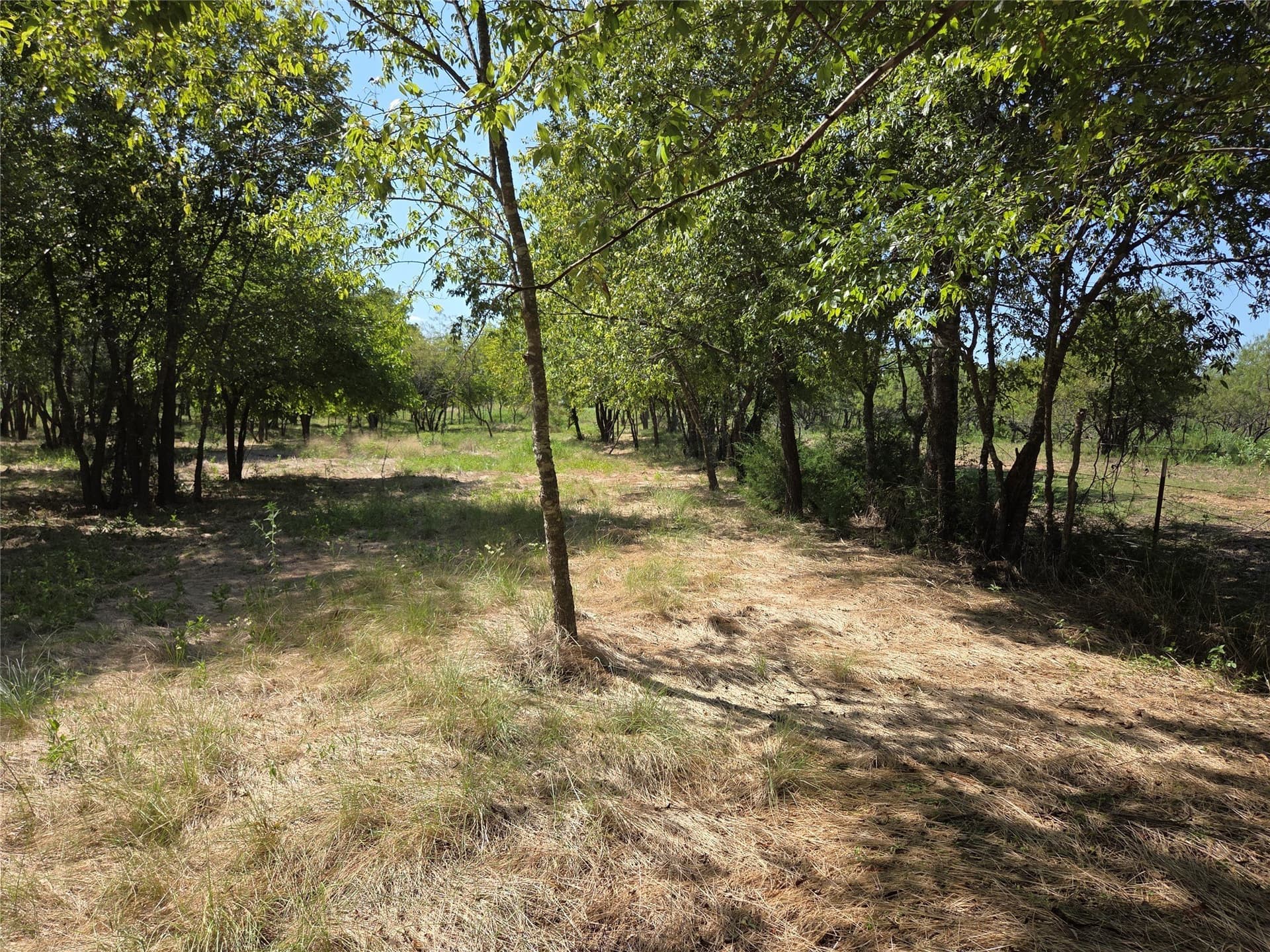 2.98 acres in Navarro County - photo 25