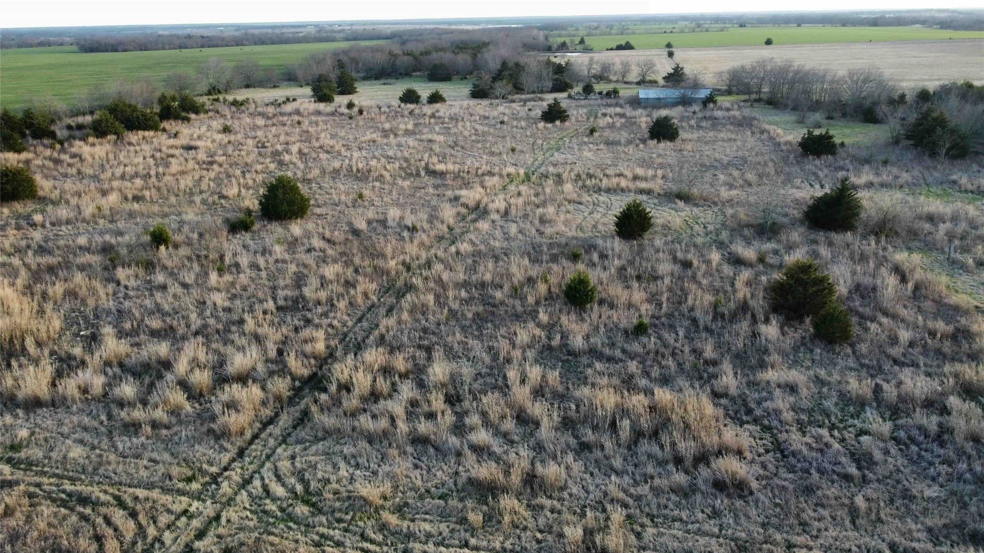 15 acres in Fannin County - photo 3