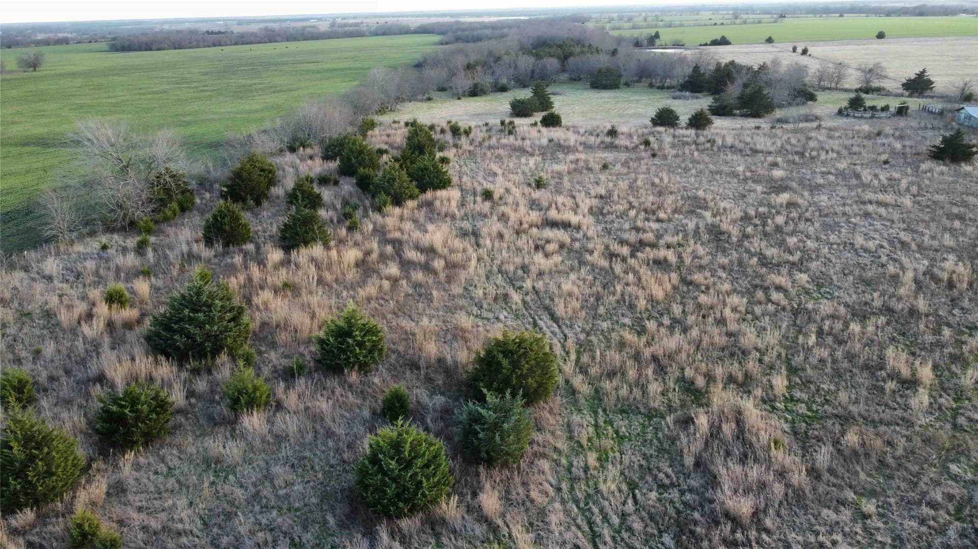 15 acres in Fannin County - photo 4