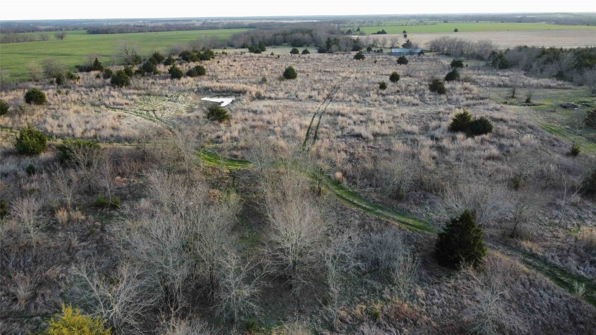 15 acres in Fannin County - photo 6