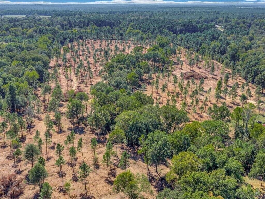 40.17 acres in Texas County - photo 4