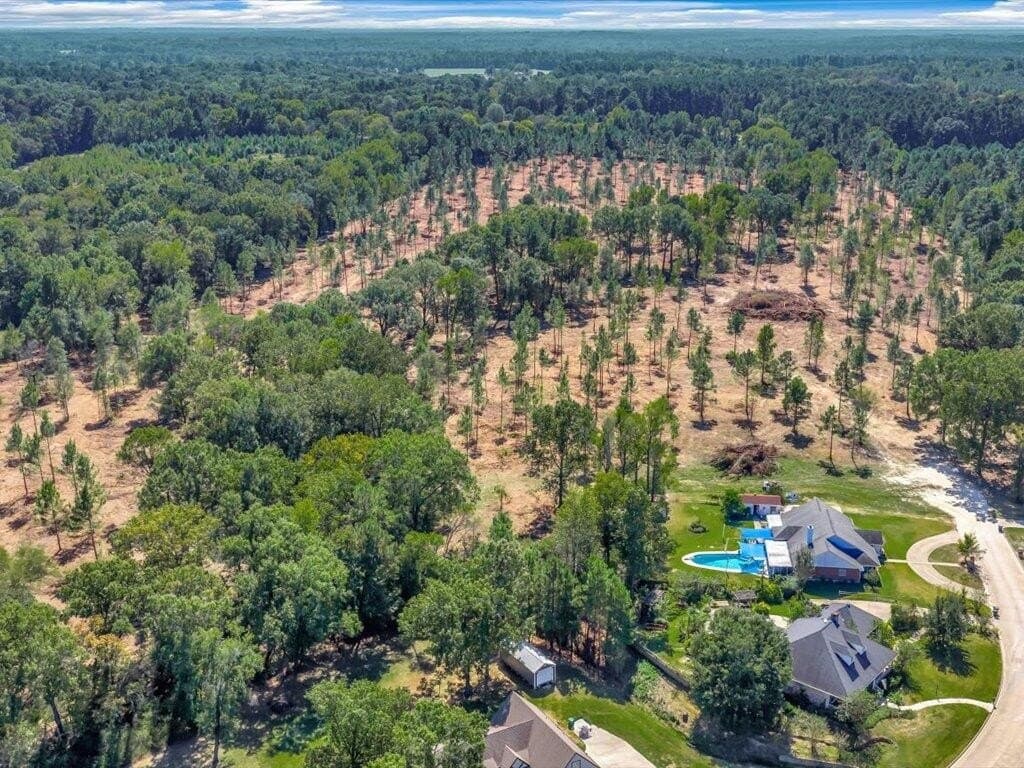 40.17 acres in Texas County - photo 3