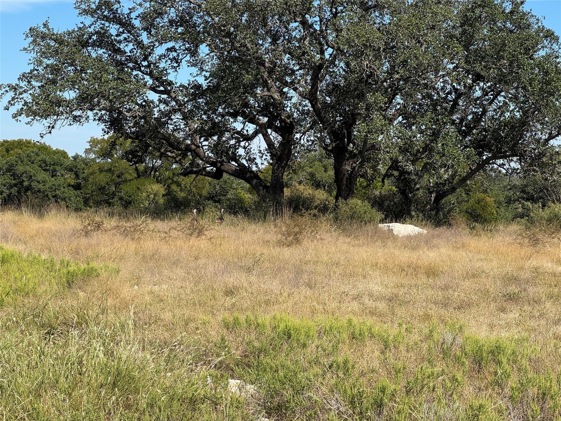 5.01 acres in San Saba County - photo 12