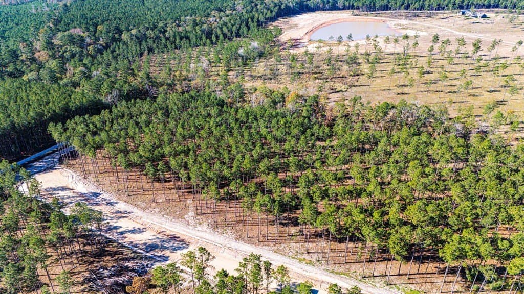5.7 acres in Texas County gallery image 2