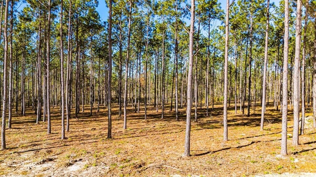 5.7 acres in Texas County