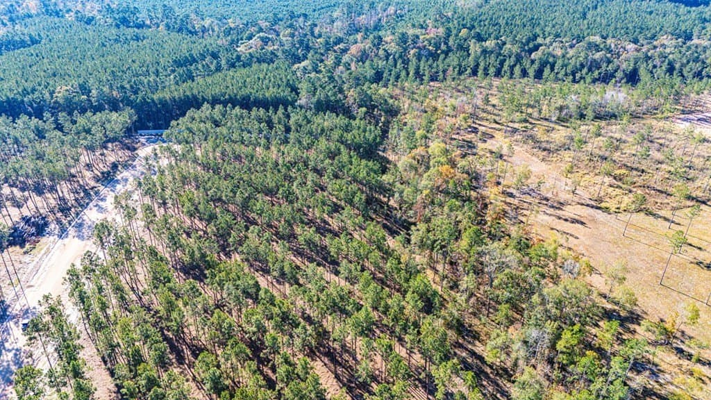 5.7 acres in Texas County gallery image 4