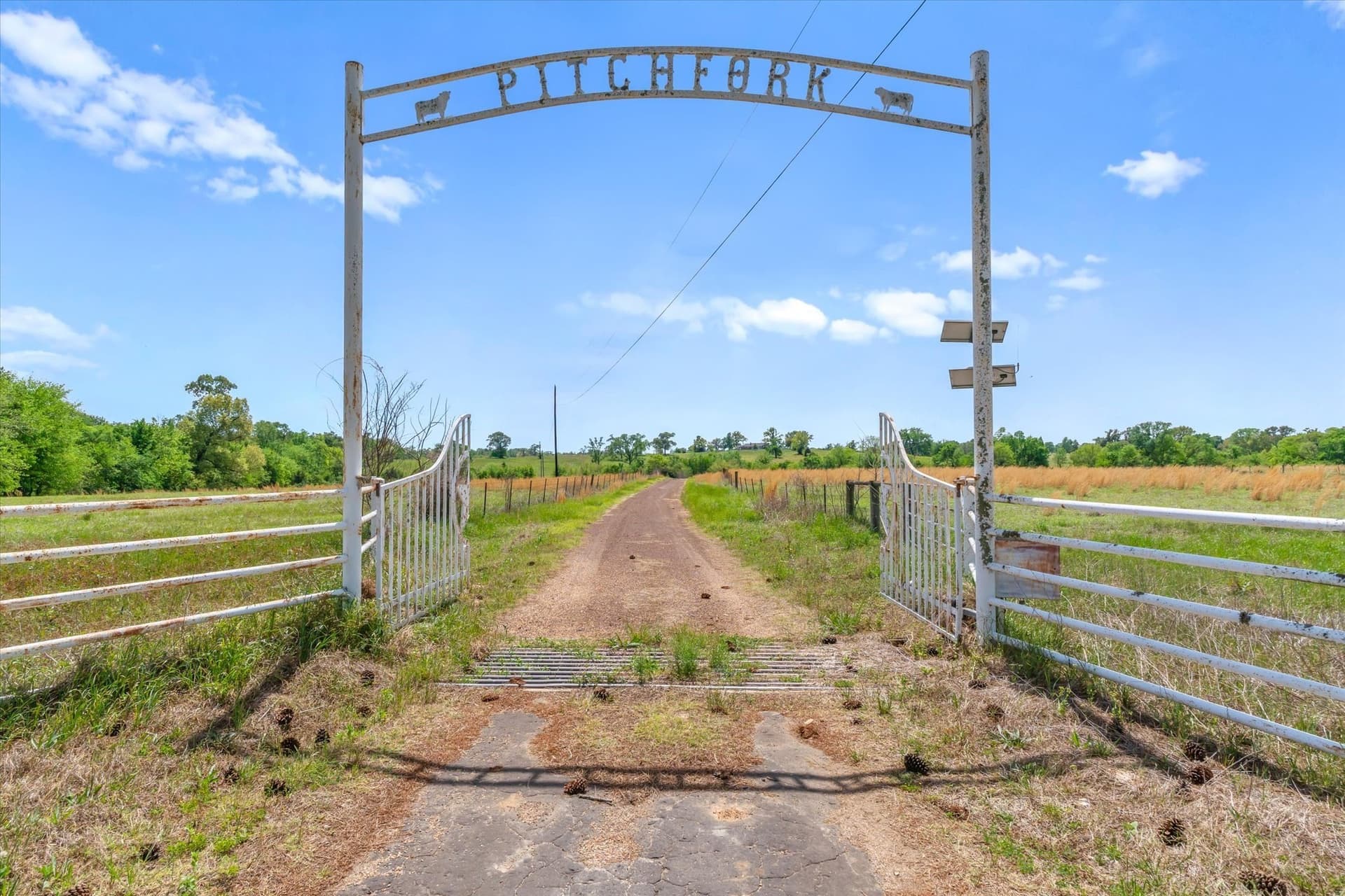 66.89 acres in Van Zandt County - photo 5