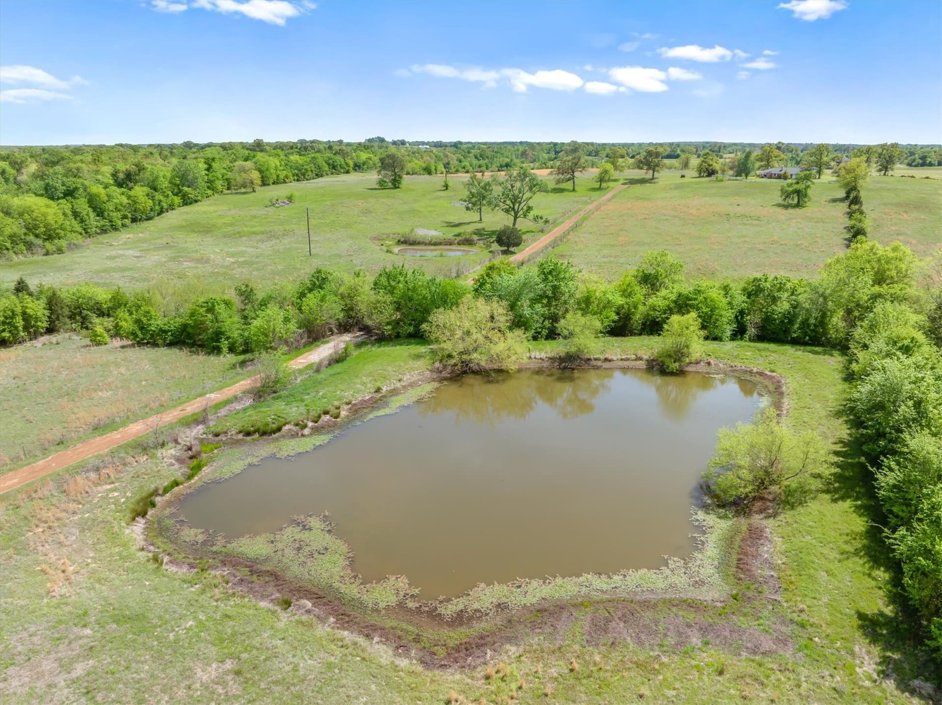 66.89 acres in Van Zandt County - photo 6
