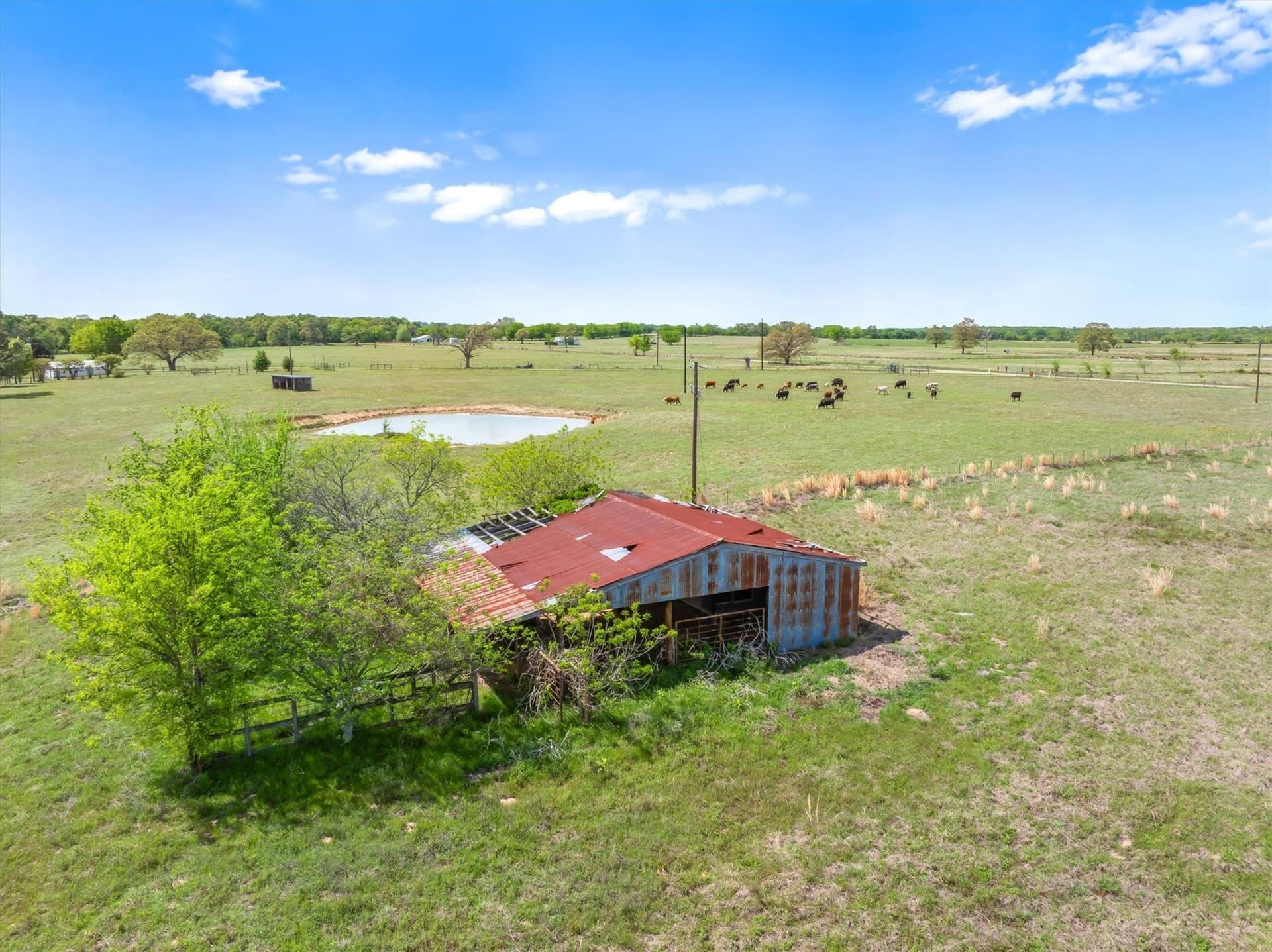 66.89 acres in Van Zandt County - photo 12
