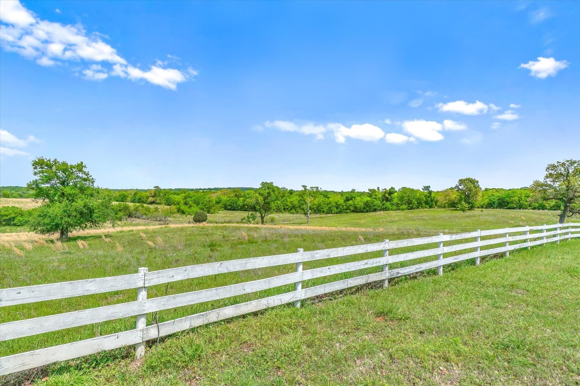 66.89 acres in Van Zandt County - photo 16