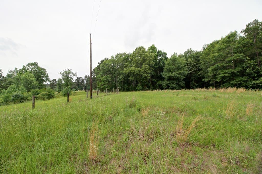32.5 acres in Texas County - photo 6