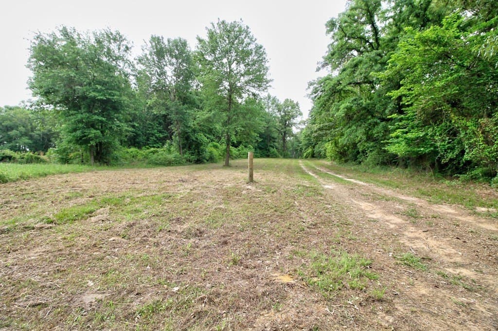 32.5 acres in Texas County featured view