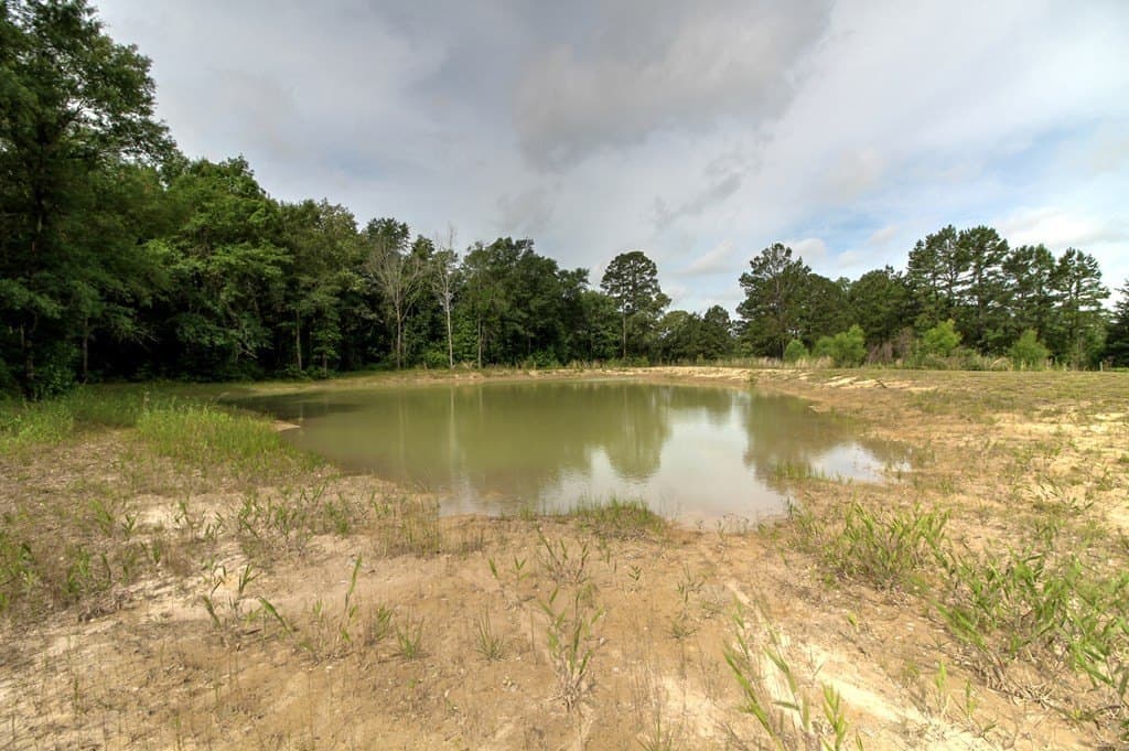 32.5 acres in Texas County gallery image 2