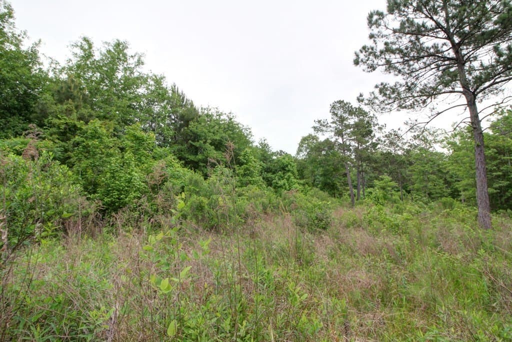 32.5 acres in Texas County - photo 19