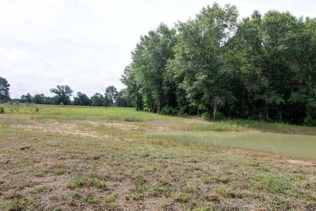 32.5 acres in Texas County gallery image 3