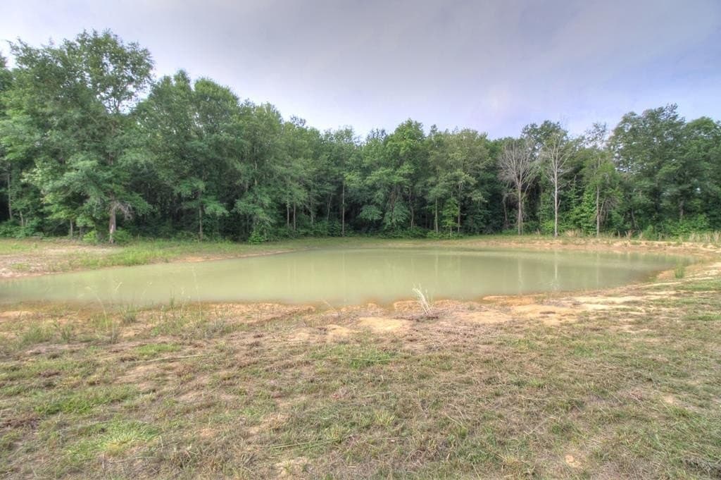 32.5 acres in Texas County