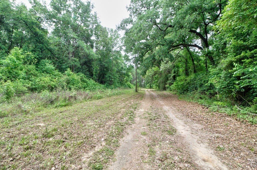 32.5 acres in Texas County gallery image 4