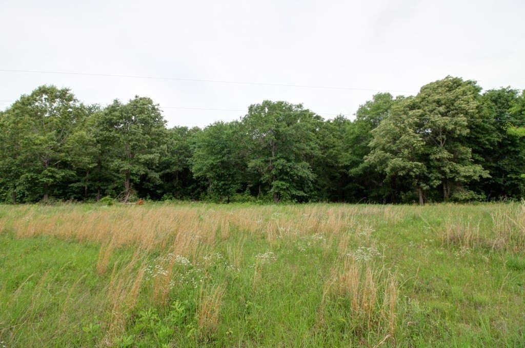 32.5 acres in Texas County - photo 10