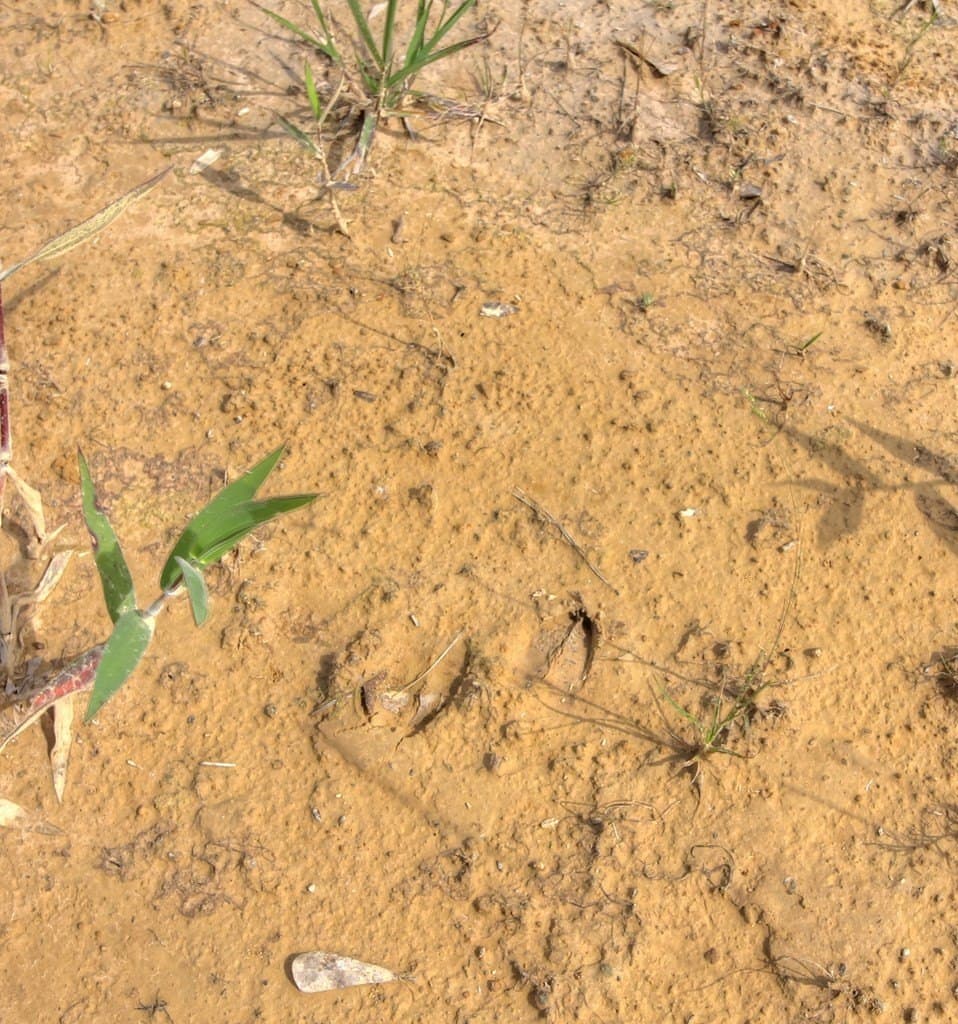 32.5 acres in Texas County - photo 21
