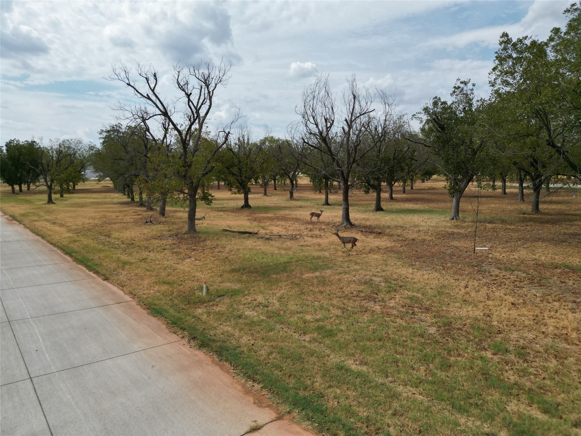 1.5 acres in Hood County - photo 4