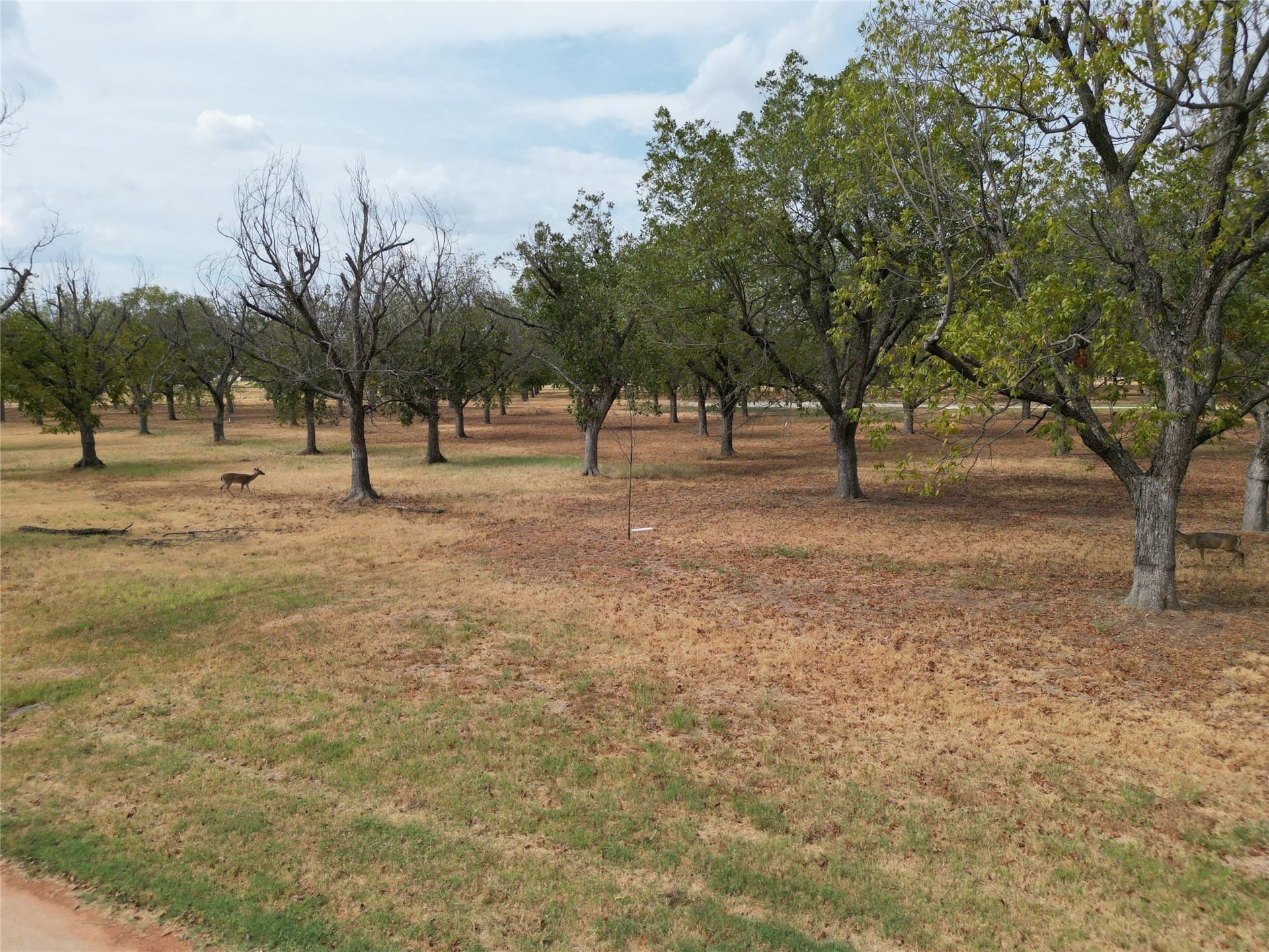 1.5 acres in Hood County - photo 3