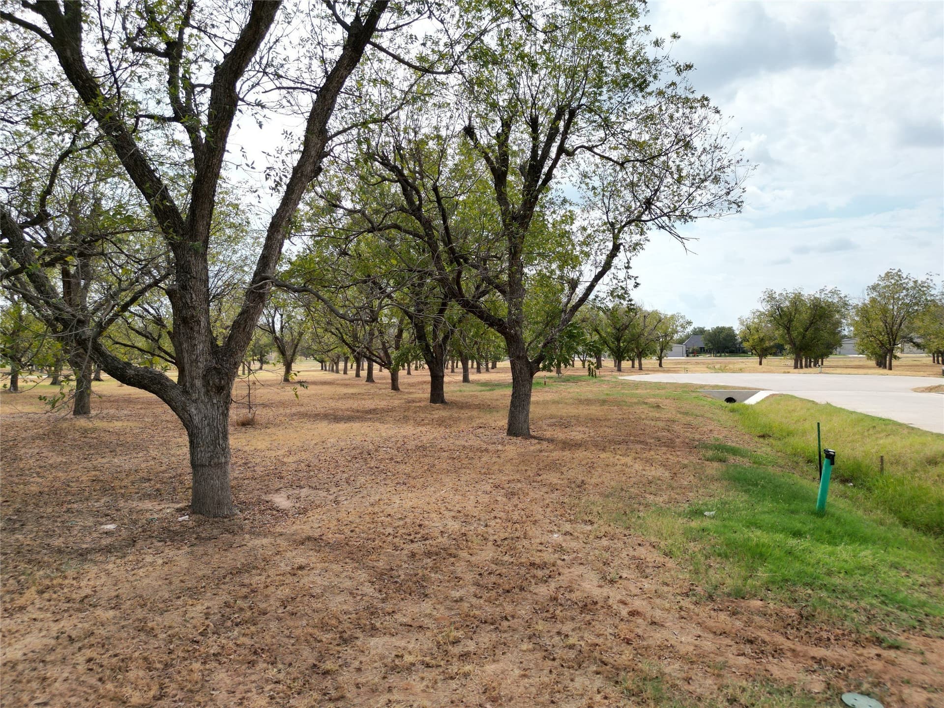 1.5 acres in Hood County - photo 16