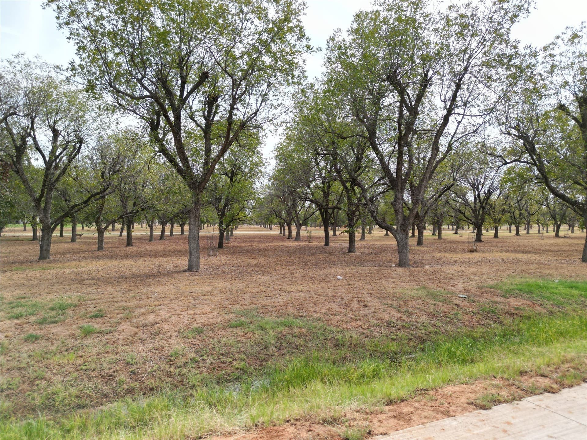 1.5 acres in Hood County - photo 15