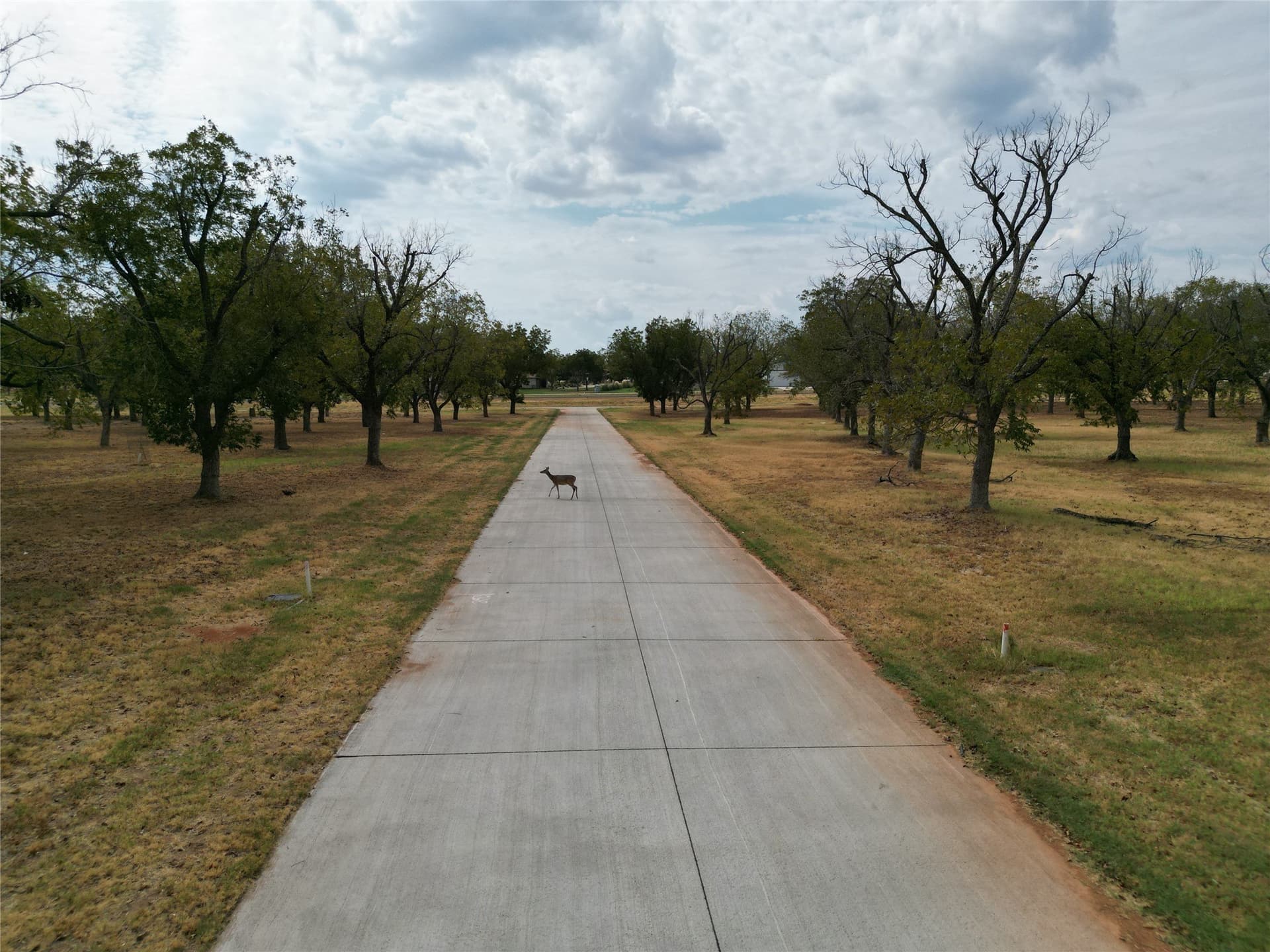 1.5 acres in Hood County - photo 13