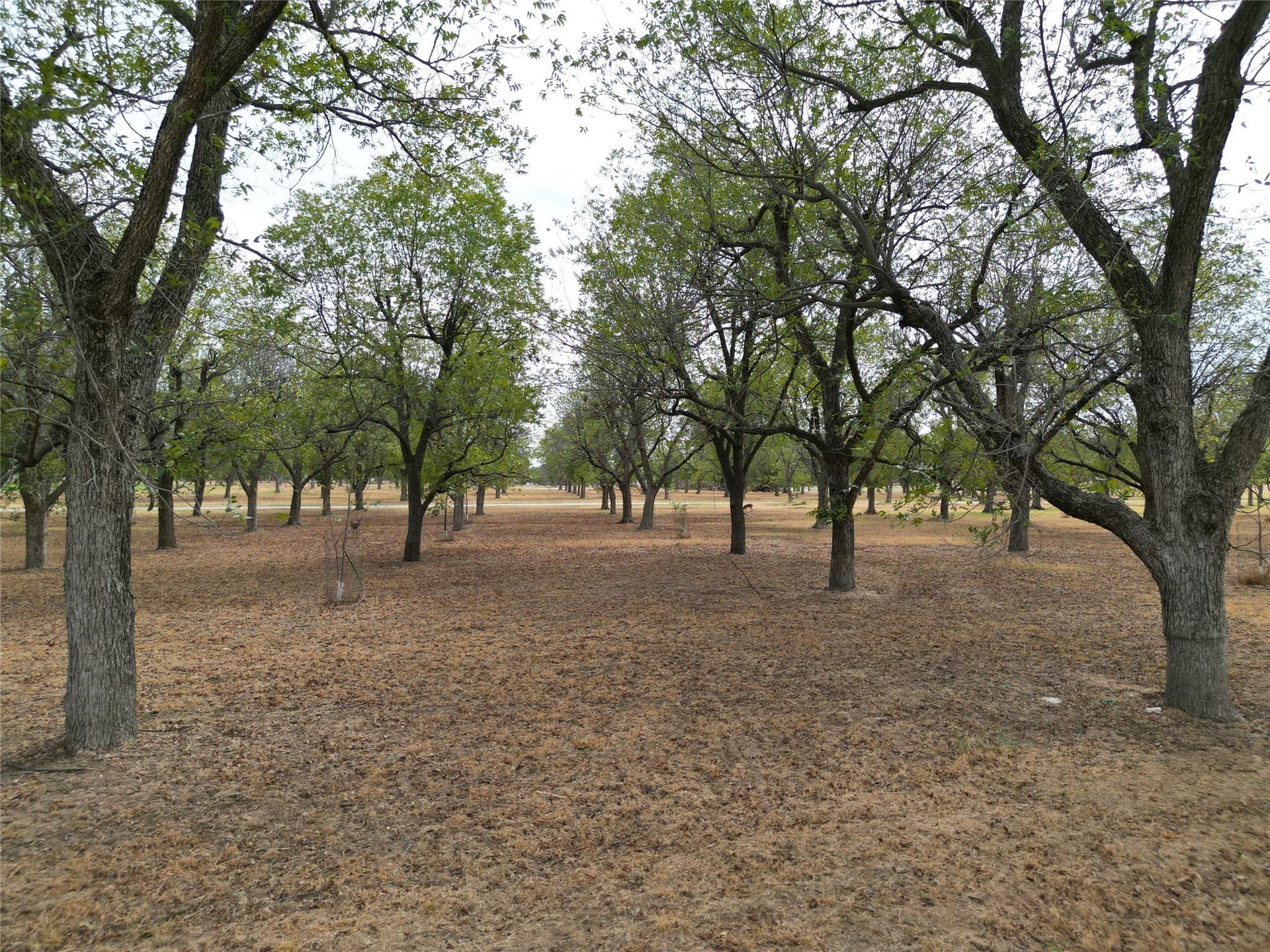 1.5 acres in Hood County - photo 2