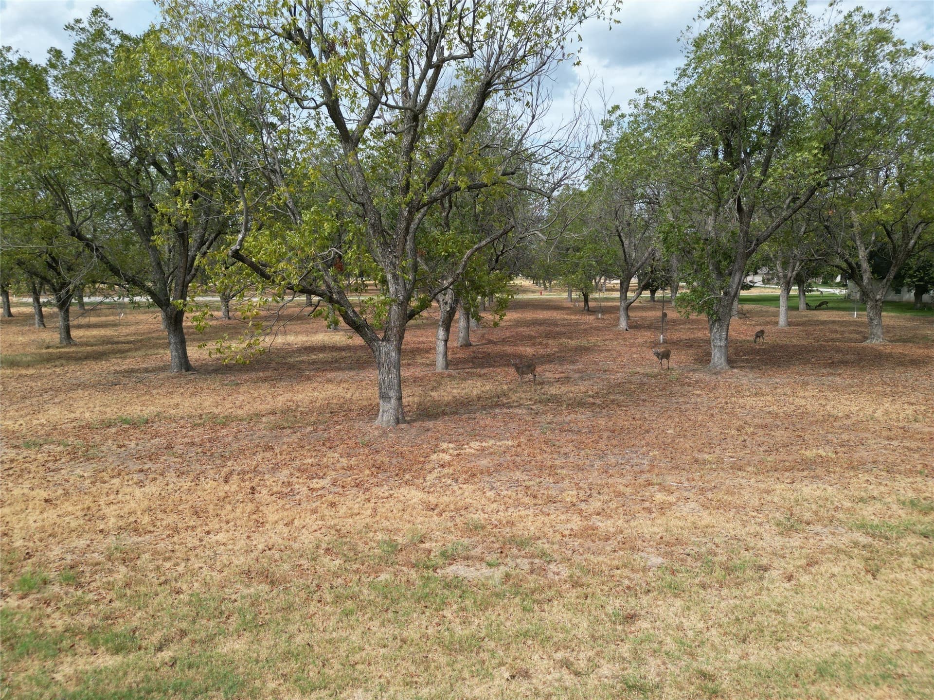 1.5 acres in Hood County - photo 12