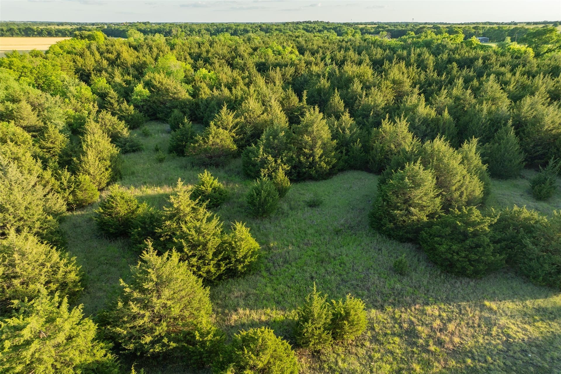 15.78 acres in Fannin County - photo 9