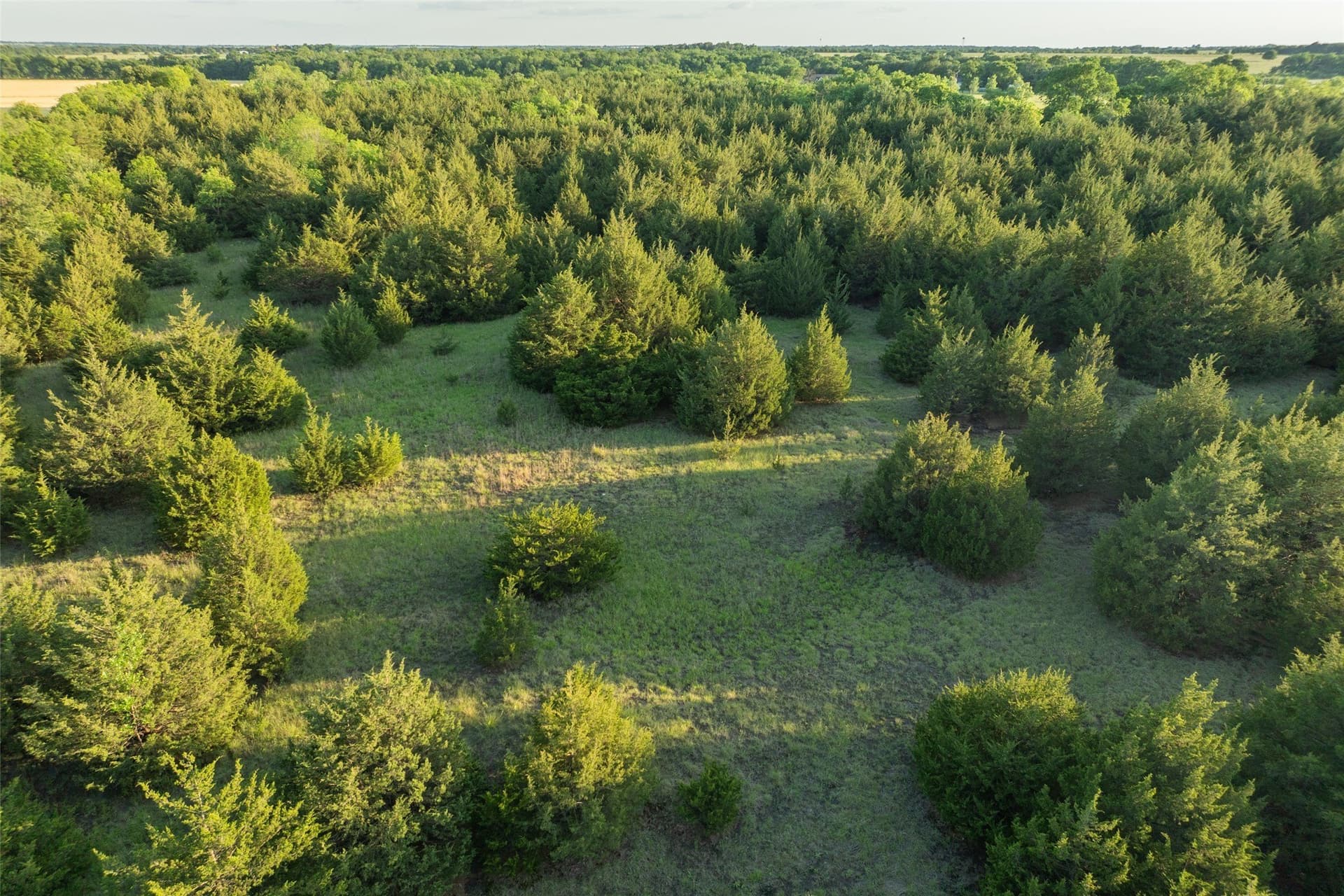 15.78 acres in Fannin County - photo 10
