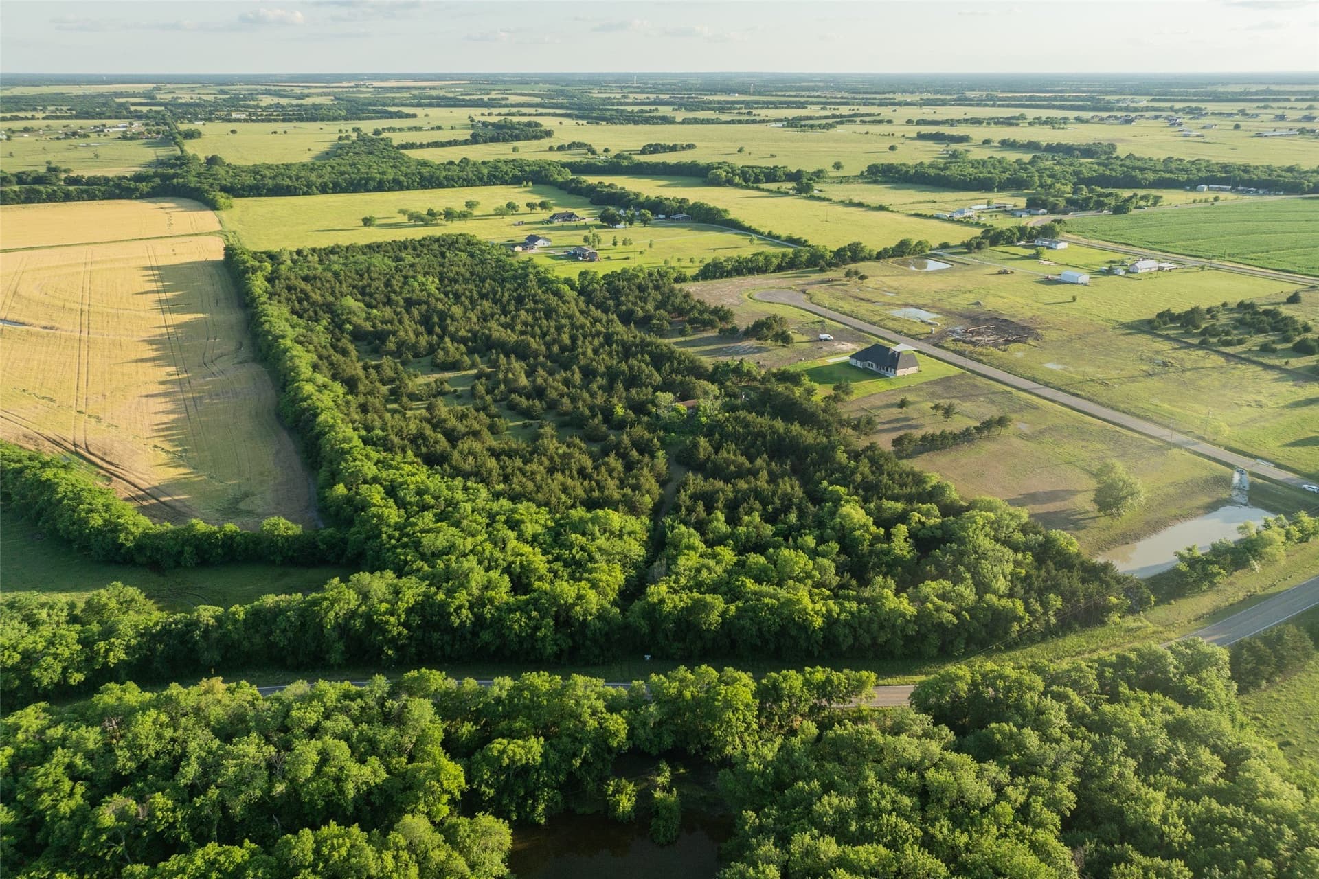 15.78 acres in Fannin County - photo 11