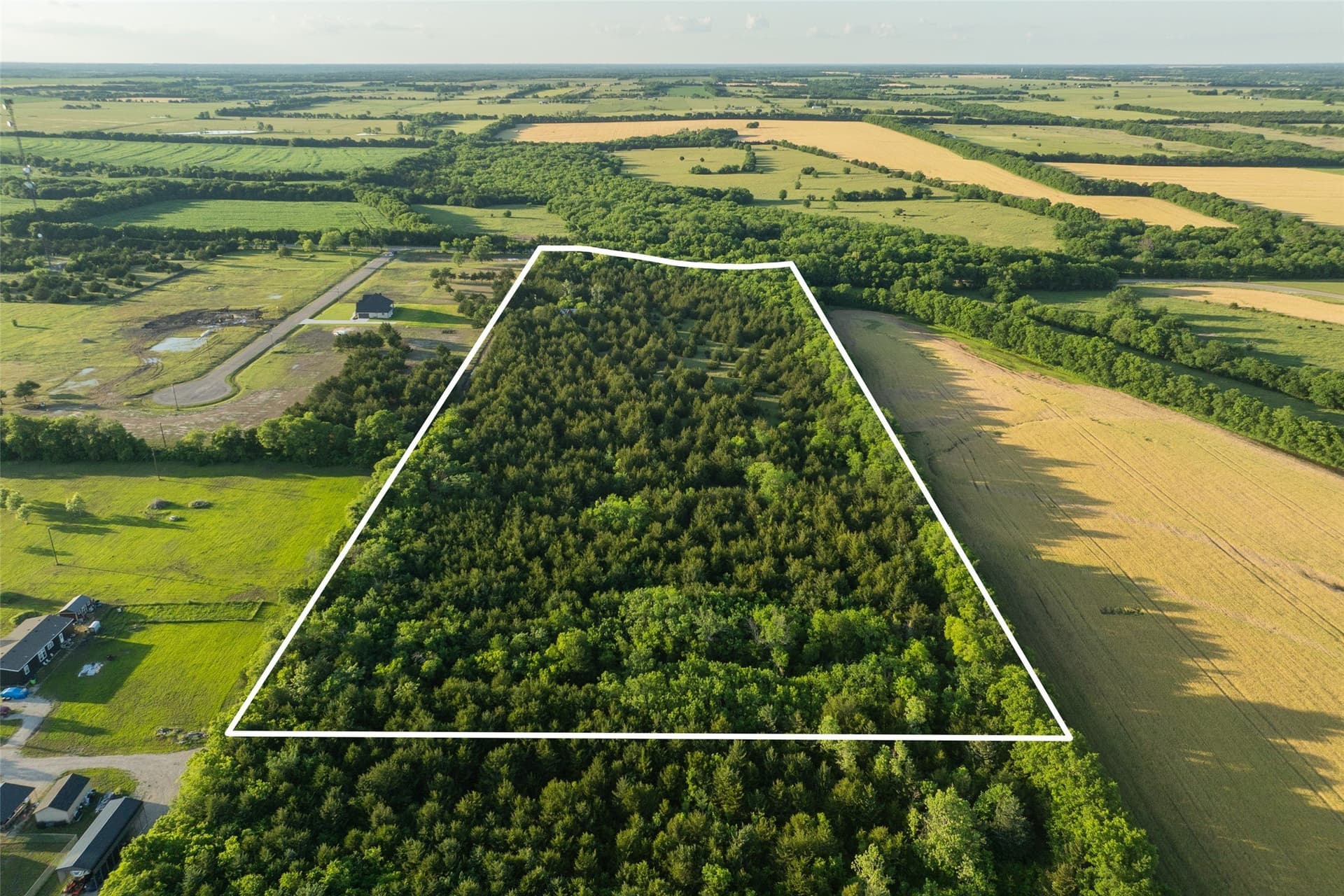 15.78 acres in Fannin County gallery image 4